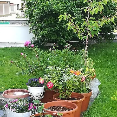 Panzió Bed & Breakfast