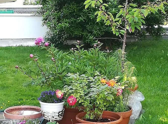 Bed & Breakfast Bed & Breakfast